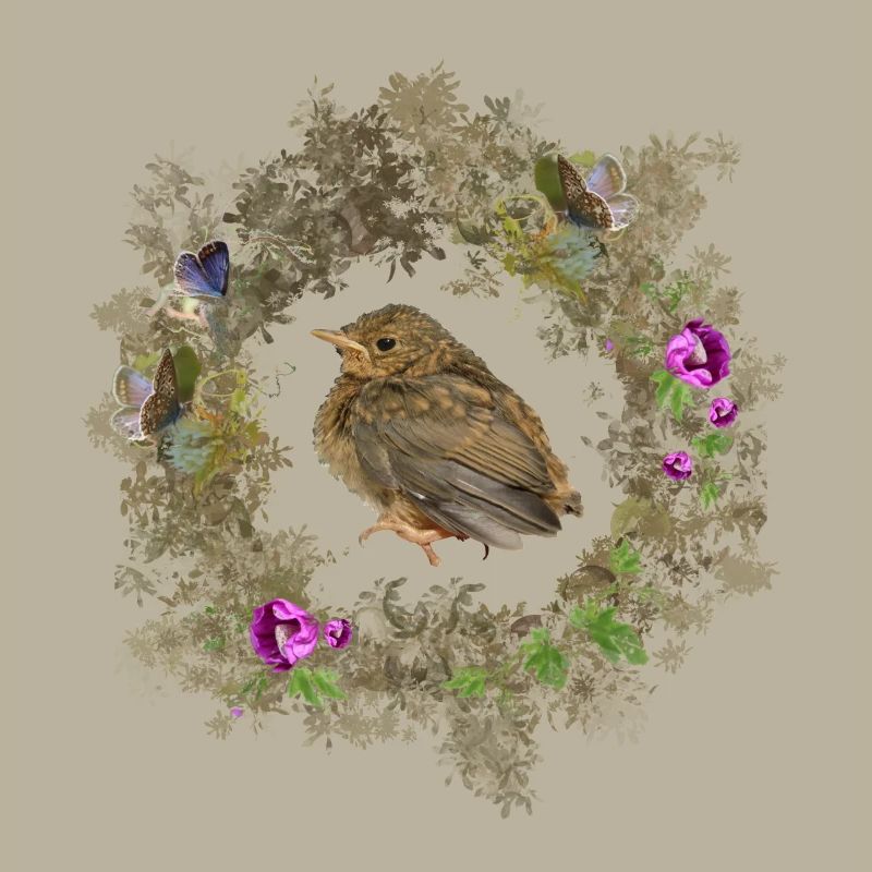Rotkehlchen mit zarten Blüten und Bläulingen
