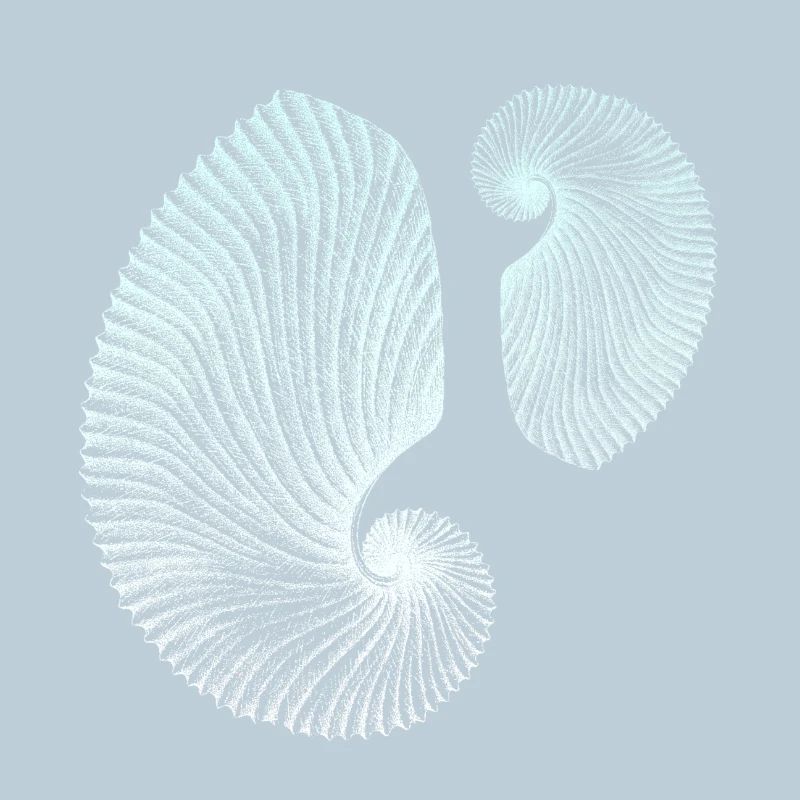 Minimalist spiral marine patterns
