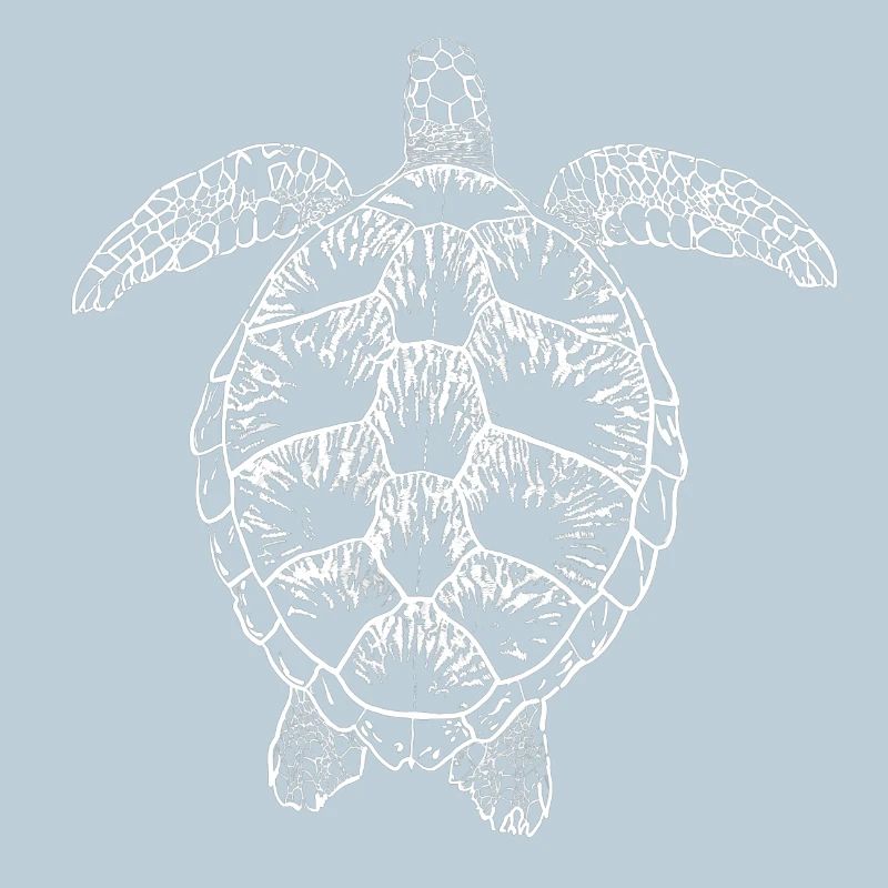 Turtle white2