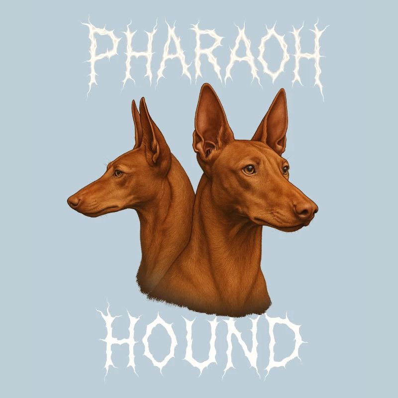 Pharaoh Hound