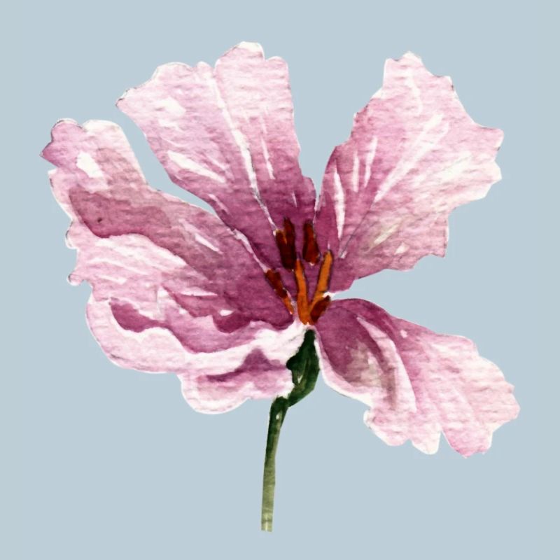 fleur rose