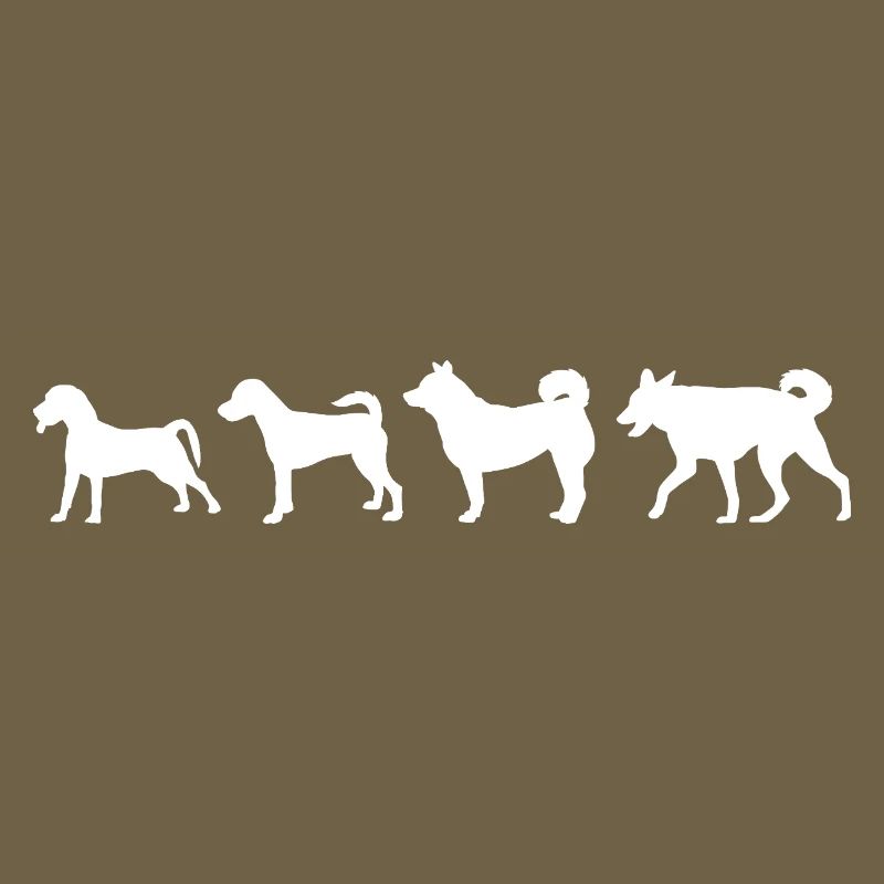 Évolution du chien