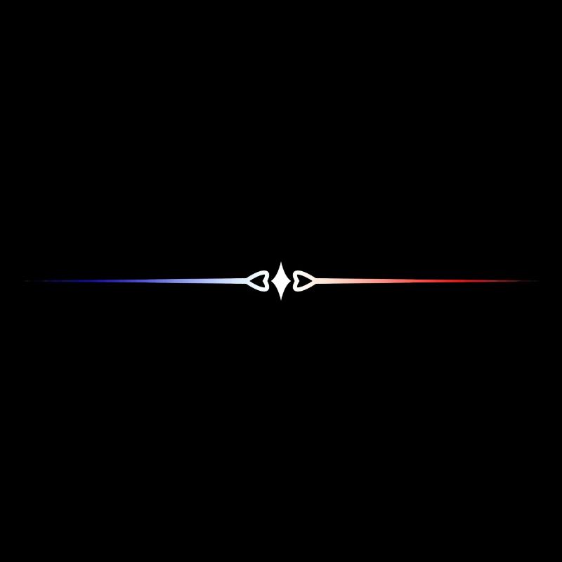French flag