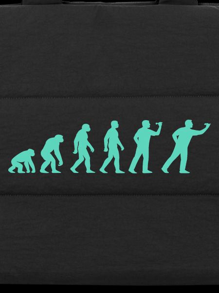 Menschheitsstufen Evolution