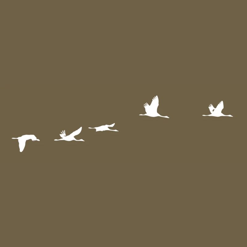 Migratory birds white crane