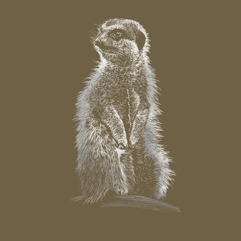 Erdmännchen