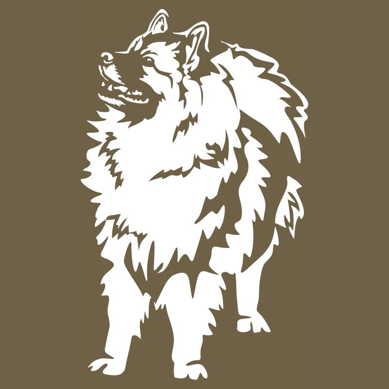 Wolfsspitz "Black Edition"