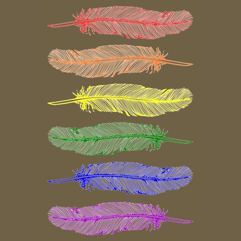 Feathers Rainbow