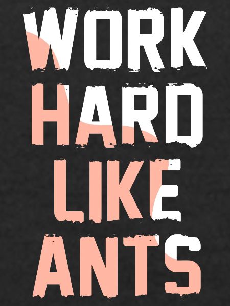 Work Hard Like Ants