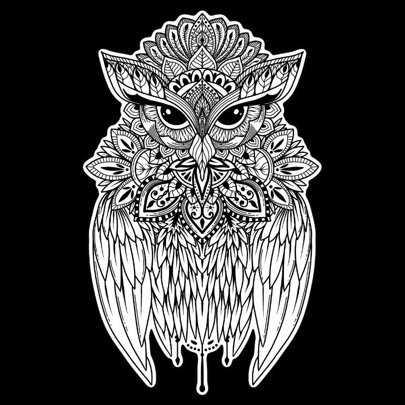 Owl the Guardian