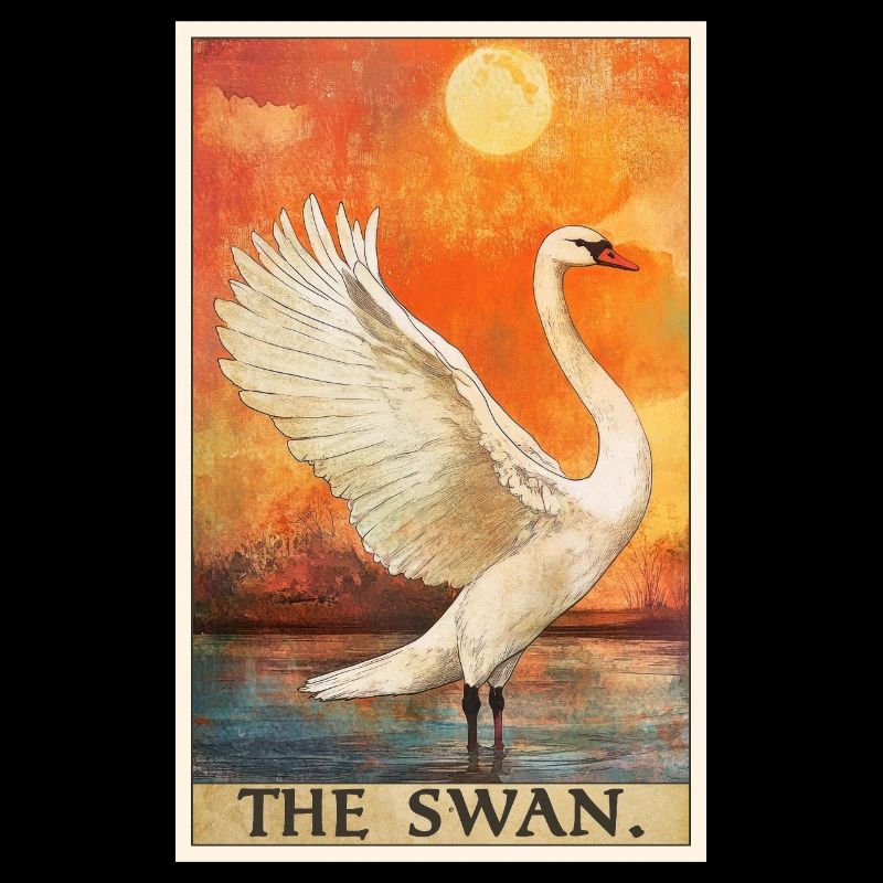 Swans Swan