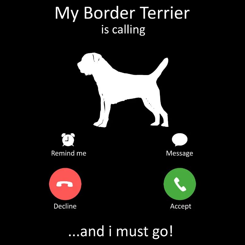 La race de chien Loyal Border Terrier appelle