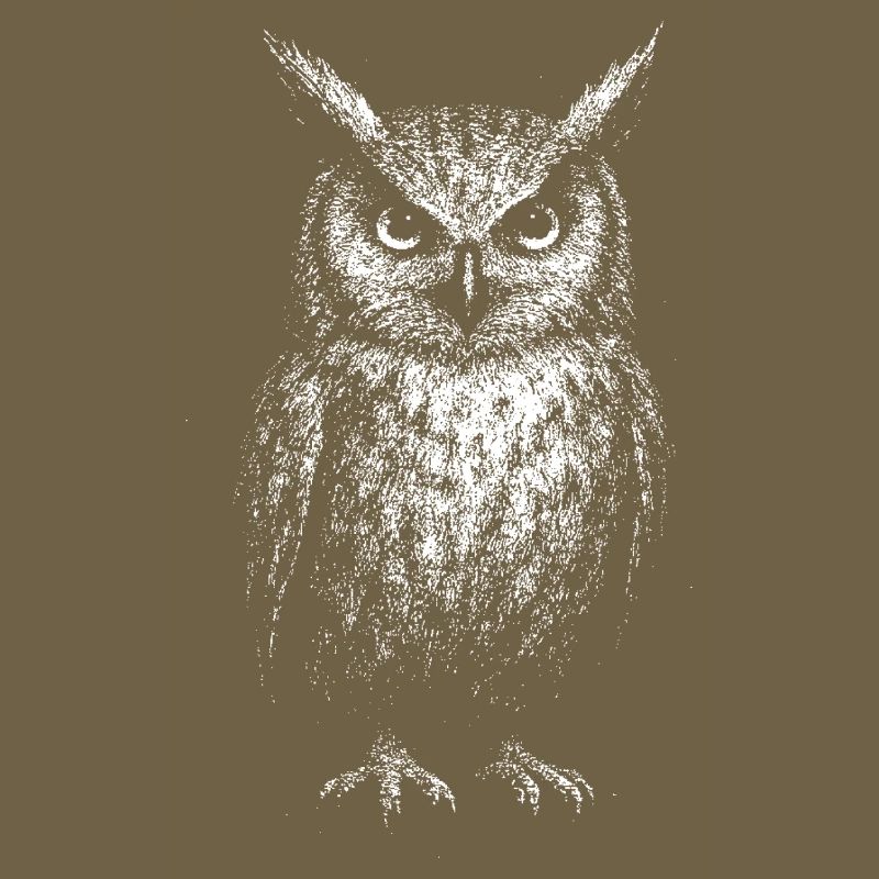 An eagle owl