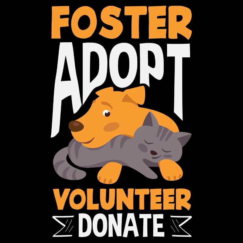 Foster Adopt Volunteer Tierrettung Katze