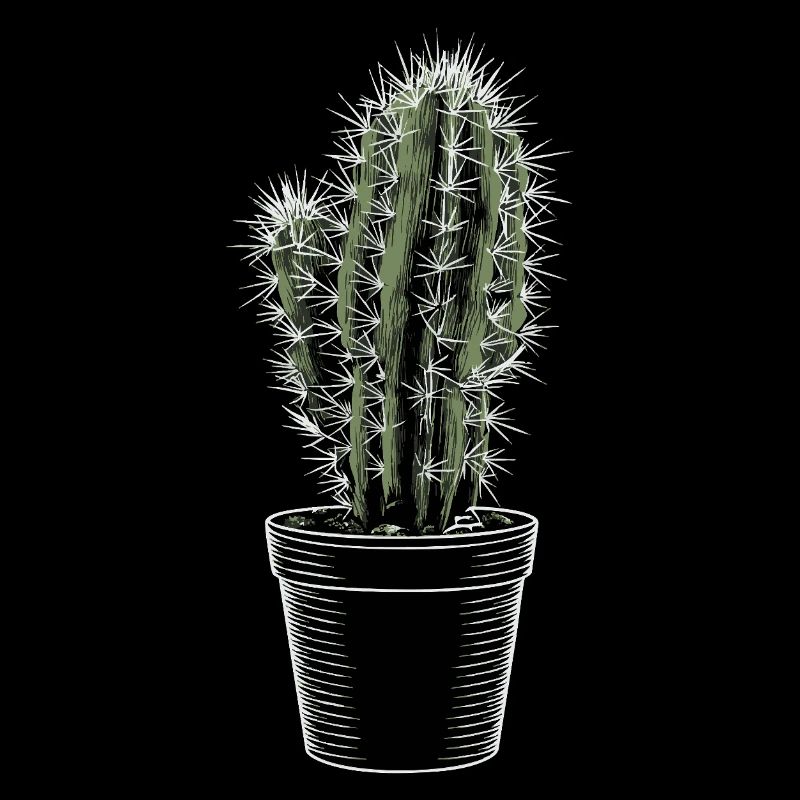 Cactus dans un pot noir