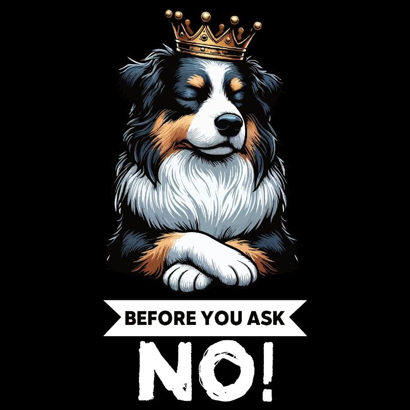 Avant de demander aux Australian Shepherds Aussie Aussies