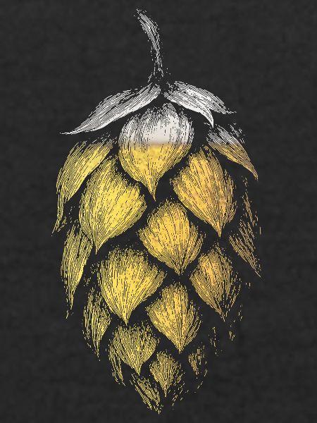 Houblon
