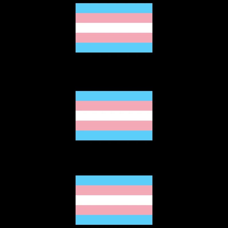 Drapeaux de la Fierté Trans
