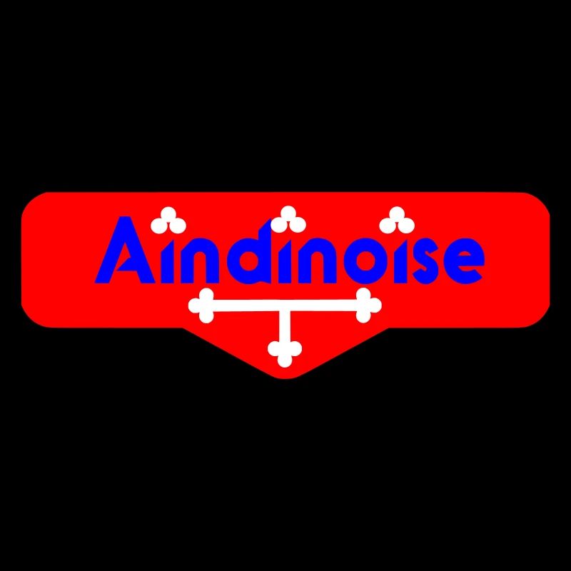 Logo Aindinoise avec Détails du drapeau de l'ain