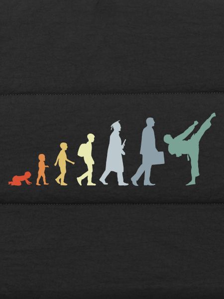 Retro Karateka Evolution