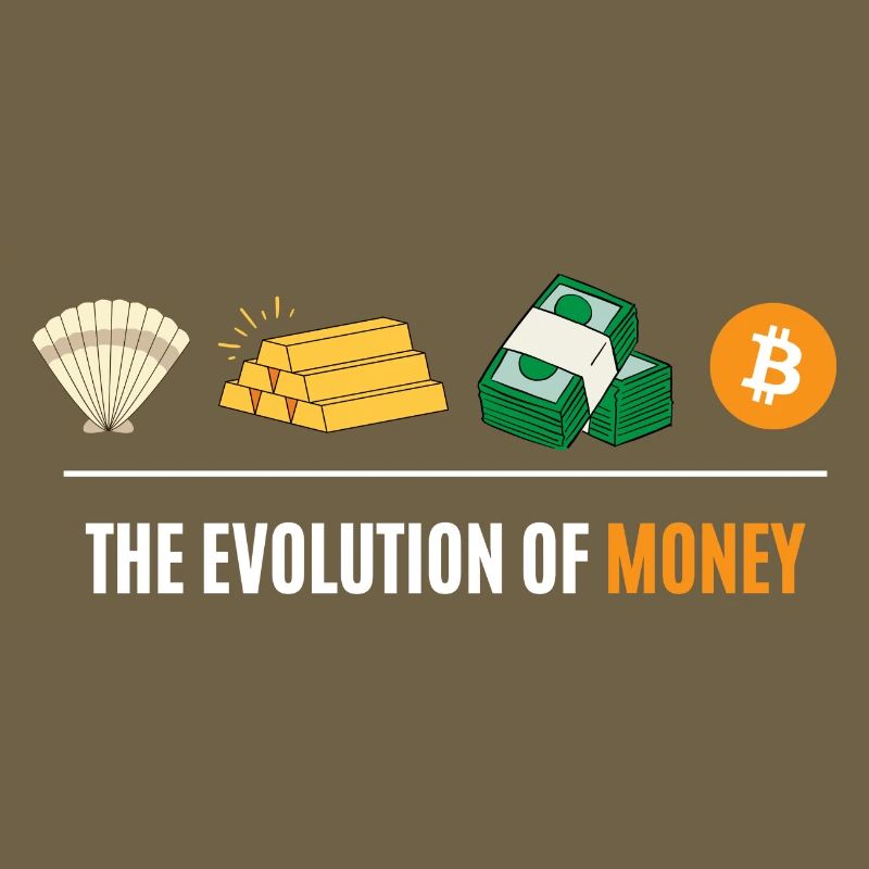 Die Evolution des Geldes