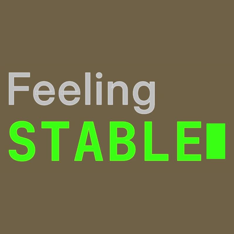 Feeling Stable | Developer mood