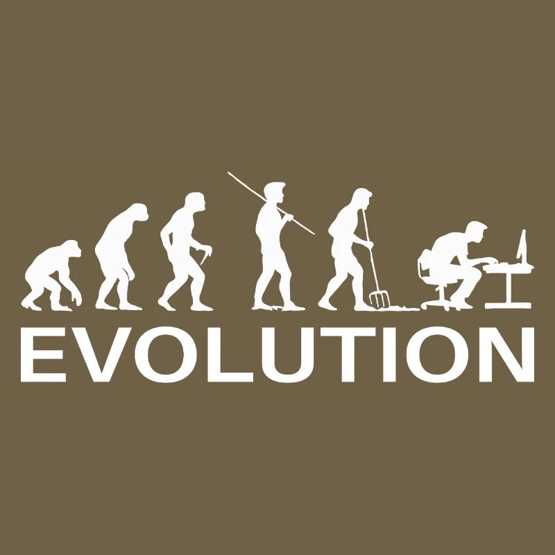 Programmeur Évolution Informaticien Développeur