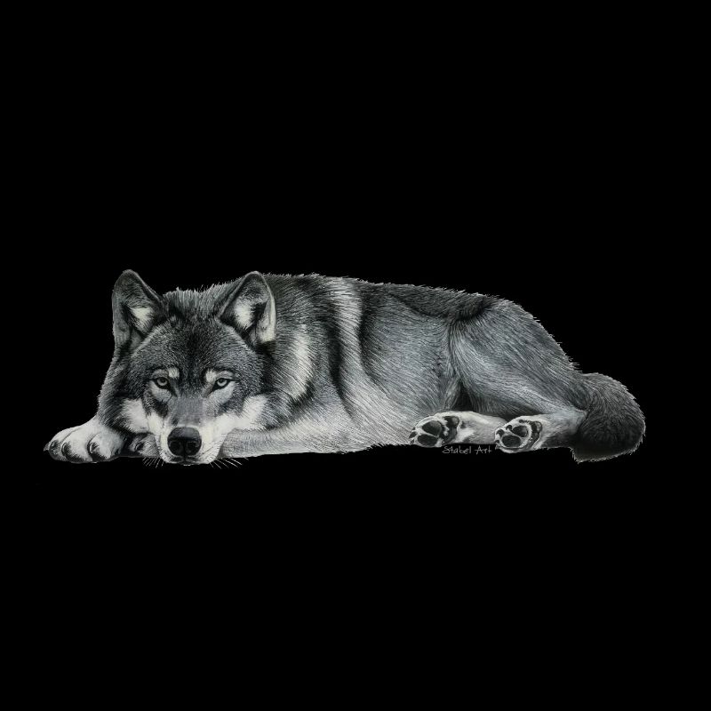 wolf