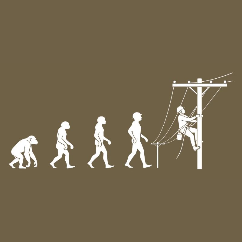 Evolution zur Netztechnik