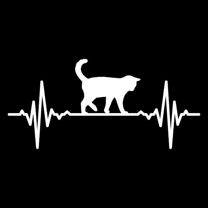 Katze Herzschlag EKG
