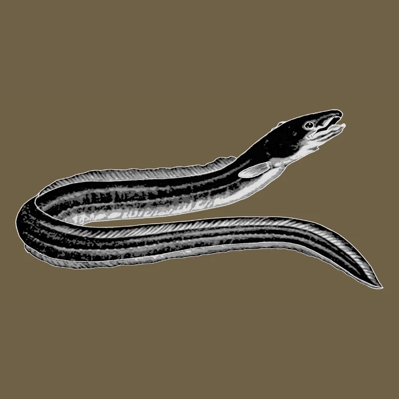 Aal