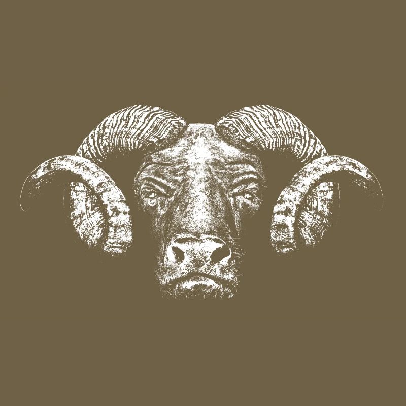 Minotaurus / Kopf