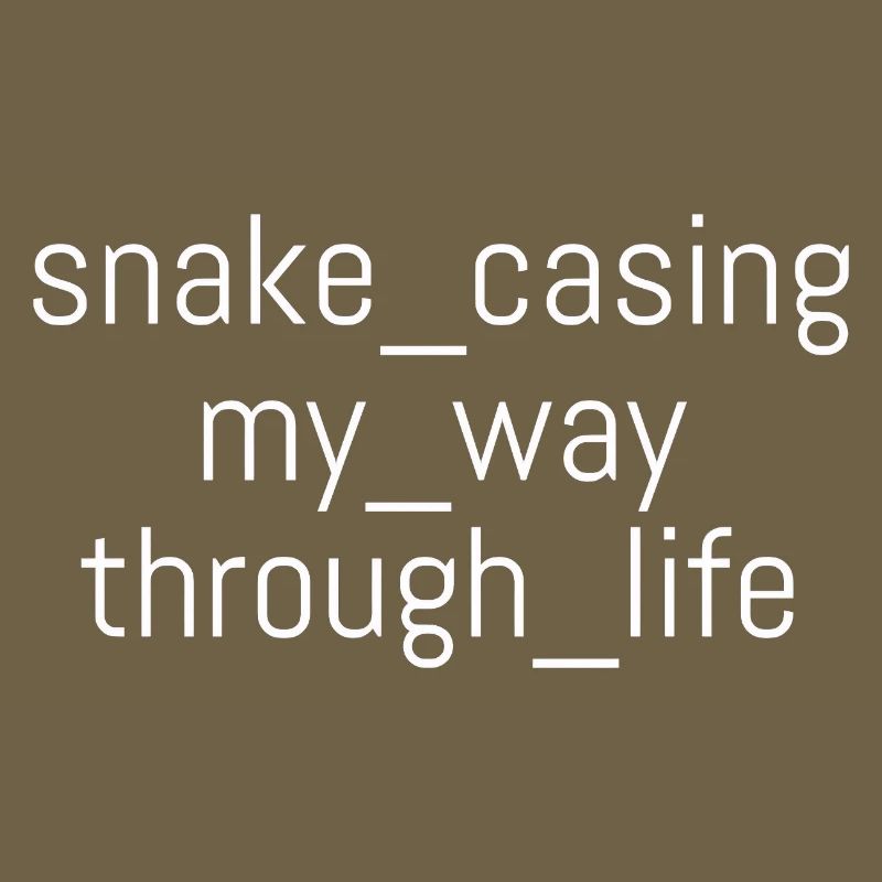 Snake Casing – Lebensweg | Informatiker | Nerd