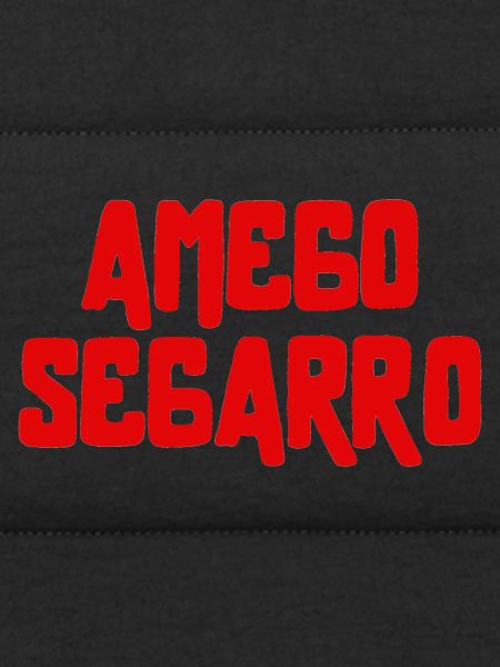 AMEGO SEGARRO