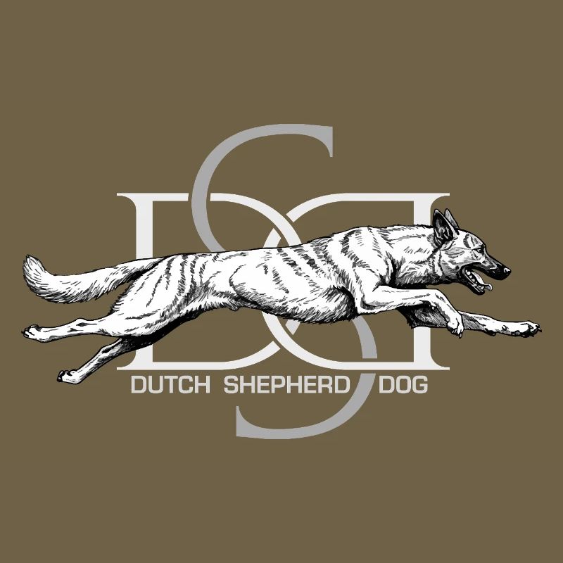Dutchie - Holländischer Schäferhund