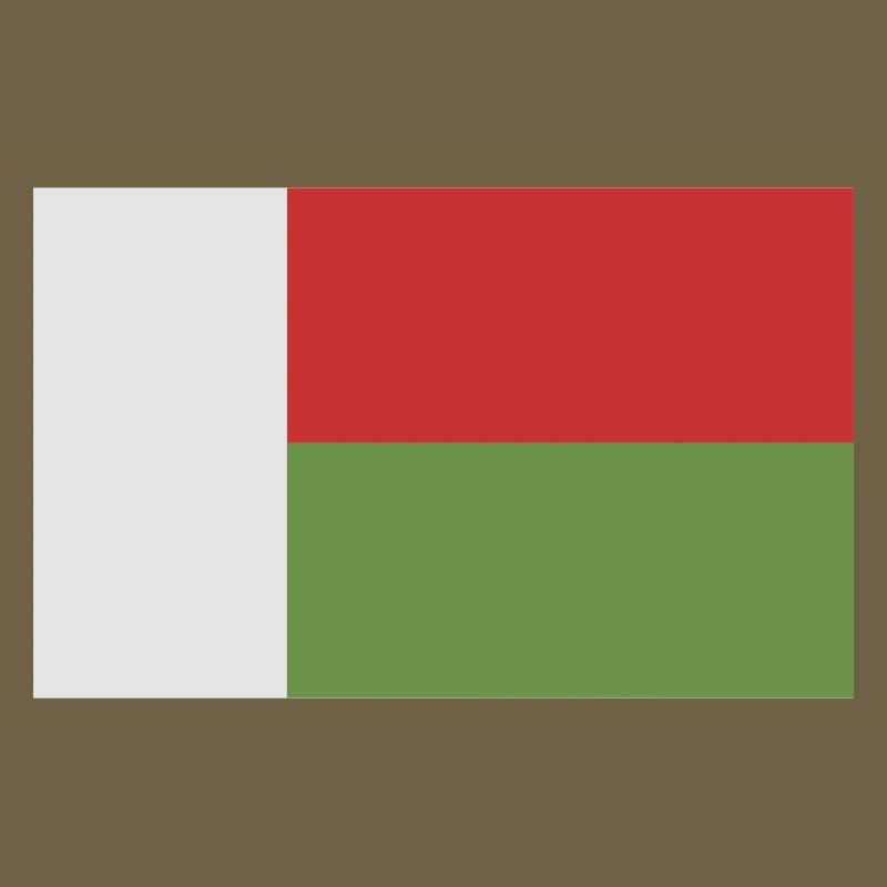 Drapeau de Madagascar