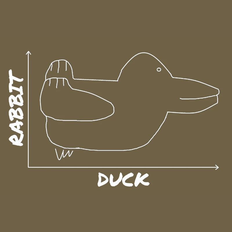 Funny Duck Graphic Rabbit