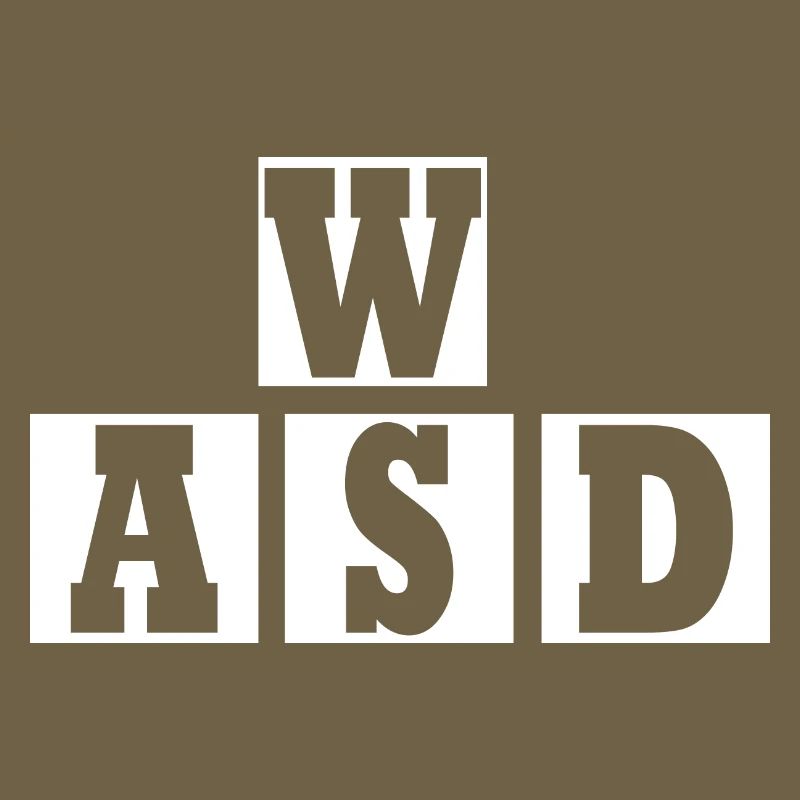 W A S D
