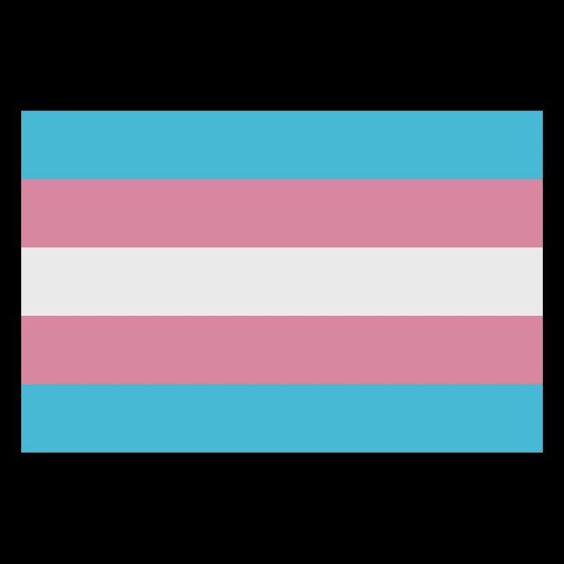 Drapeau trans