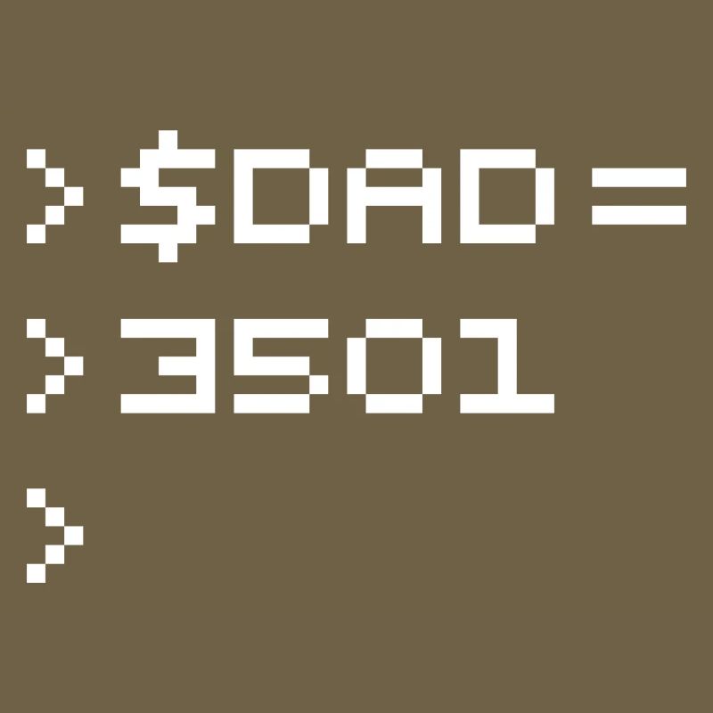 DAD Terminal de Pixels Nerd Code 8-Bits Rétro