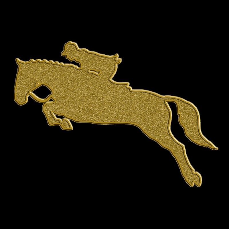 Gold Reiten