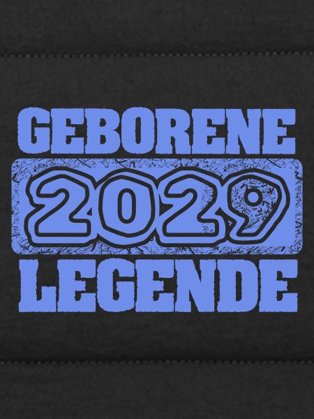 2029