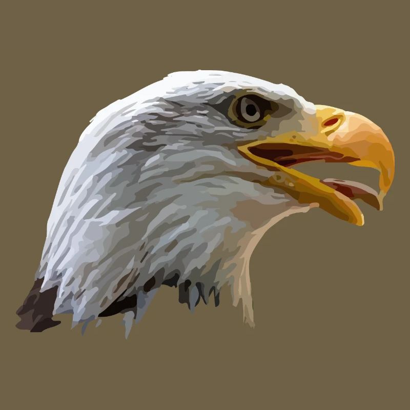 bald eagle