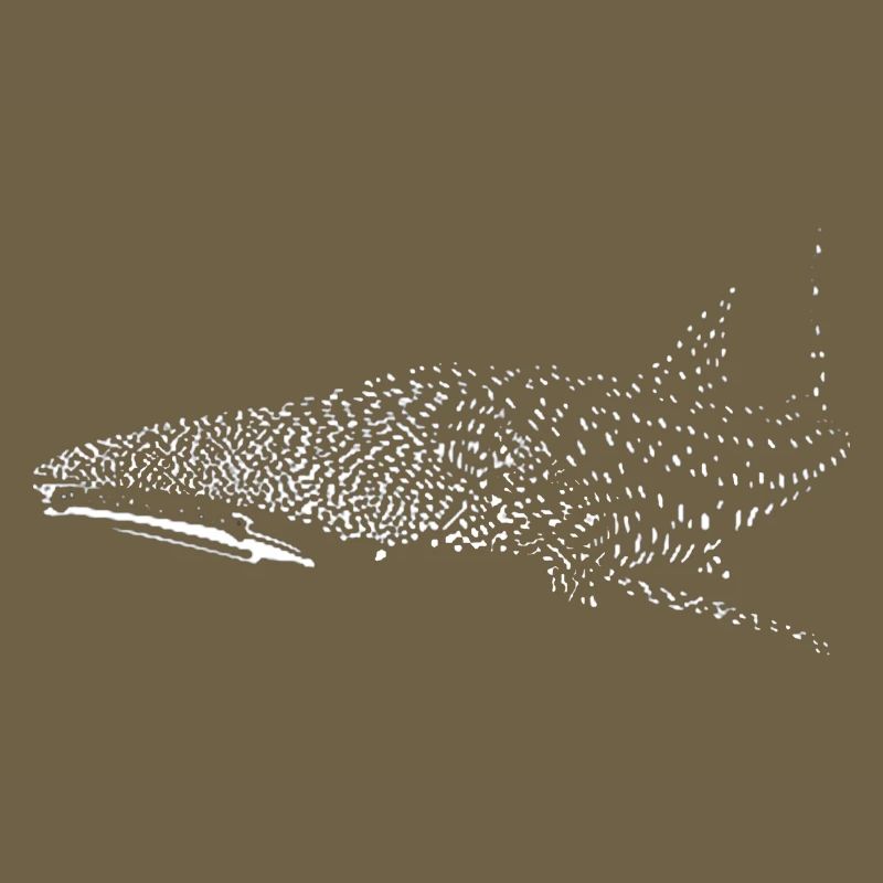 Requin-baleine