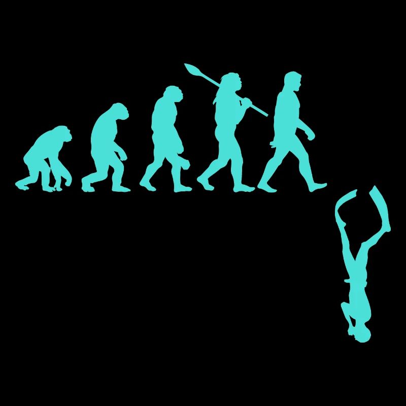 Evolution des Freitauchens