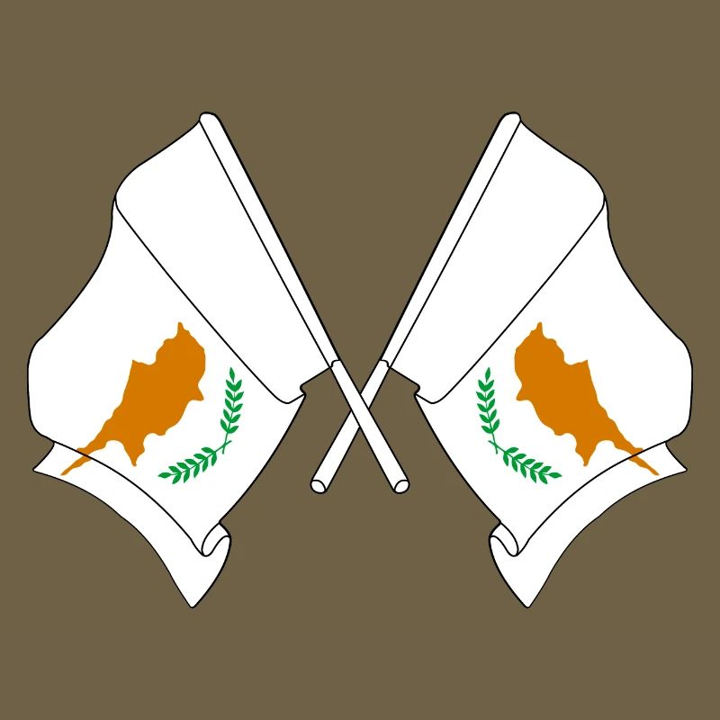 Deux drapeaux Chypre