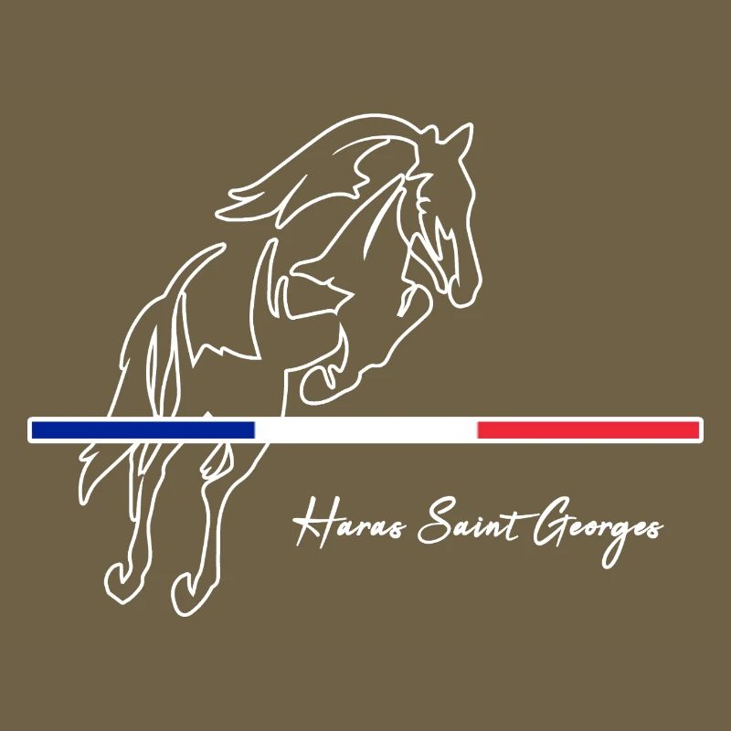 HSGsansfond2