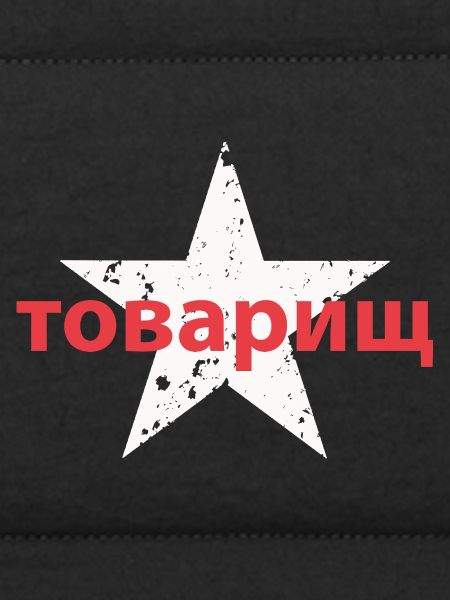 товарищ