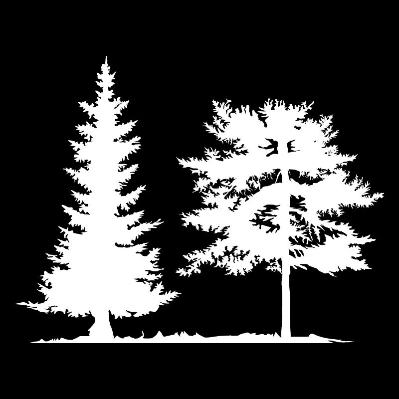 arbre, épicéa, forêt, camping, nature, forêt mixte, pin