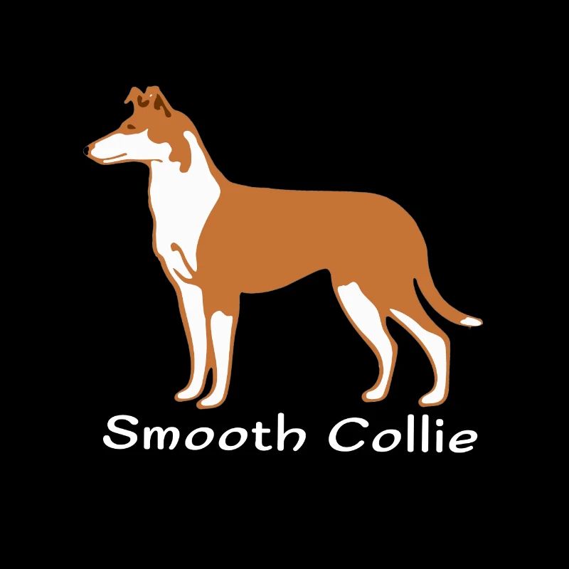 Kurzhaarcollie sable